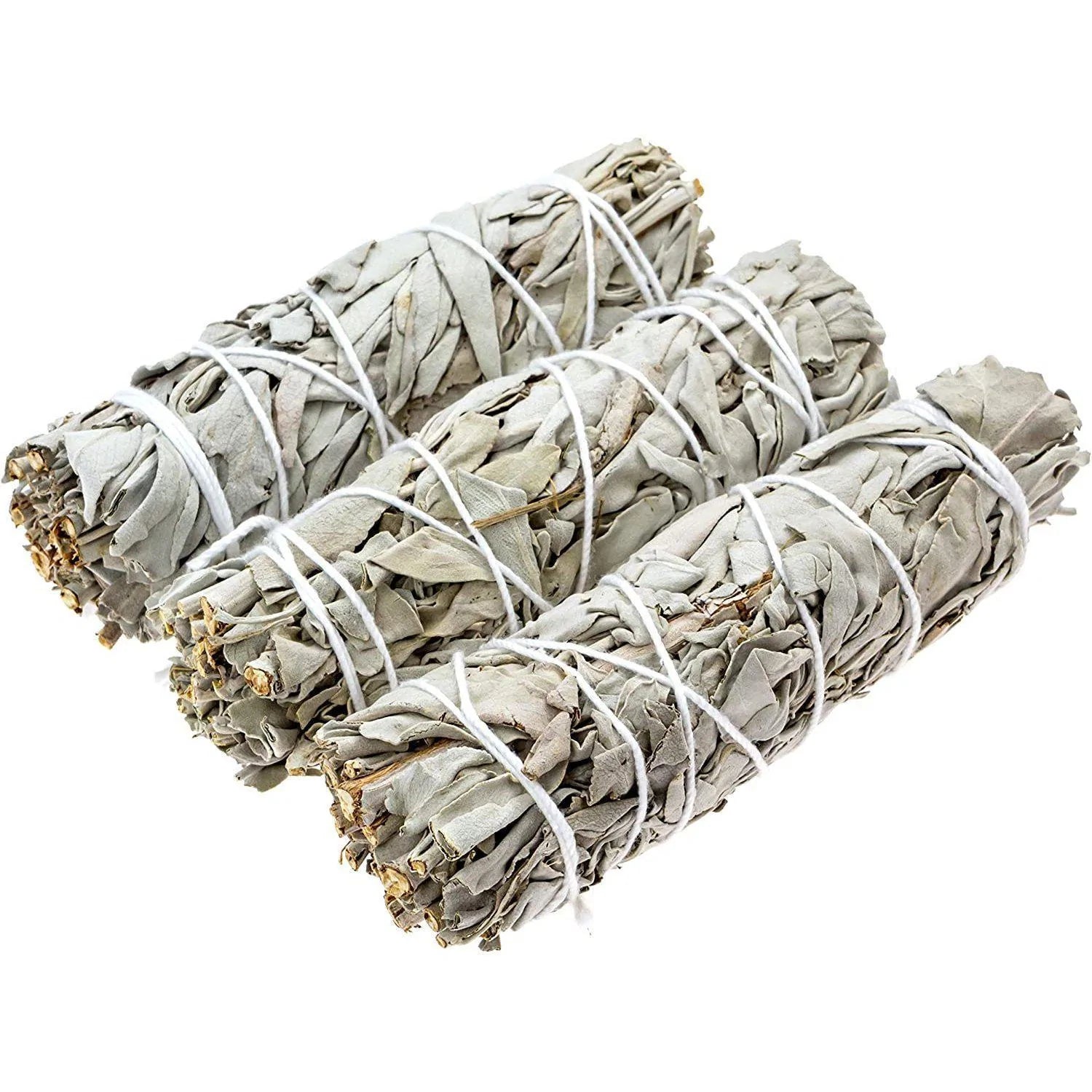 White Sage - 4 inch