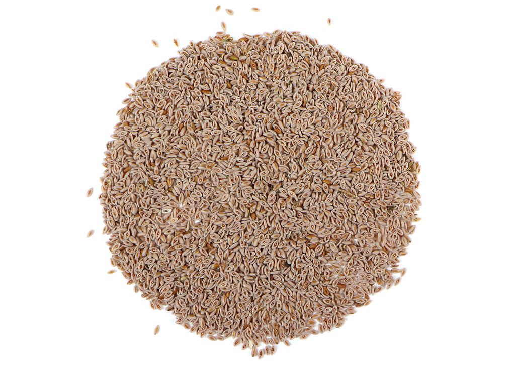 Psyllium Seed Powder