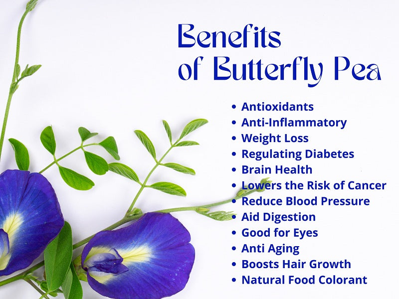 Butterfly Pea