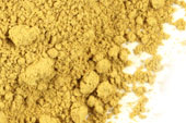 Barberry Root Bark powder
