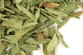Tarragon