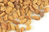 Fenugreek Seed